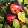 Mature Apples; 10x10; 600