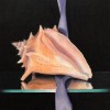 Conch and Blue Ribbon;
11x14;
$750
